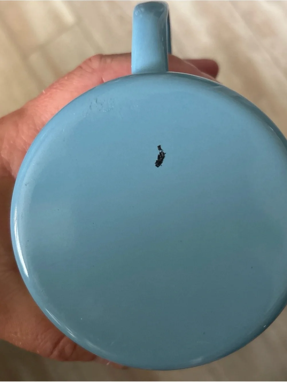 Disney Walt Disney World Blue Mountain Enamel Camping Mug